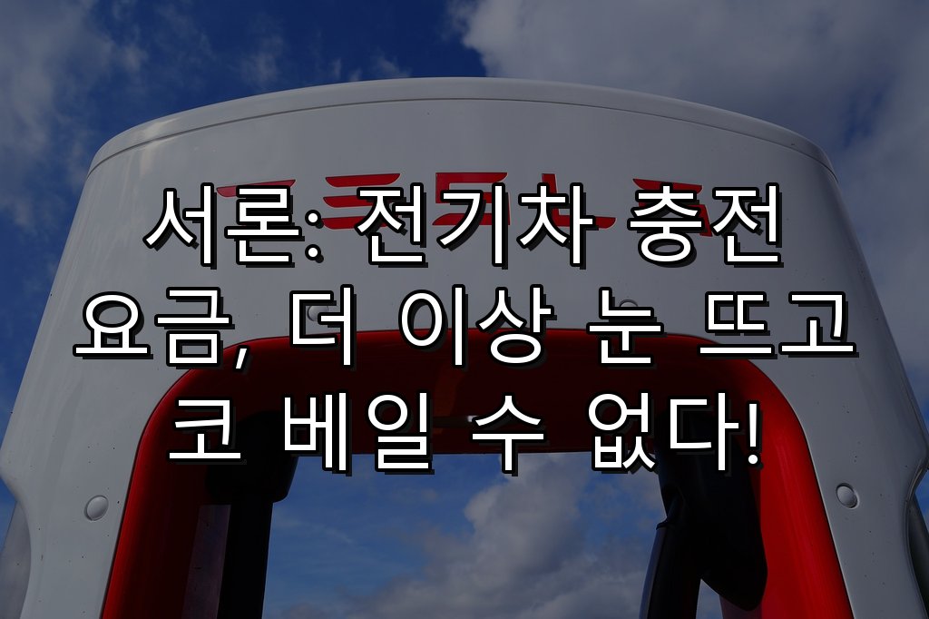 전기차 충전 비용을 최소화 할 수 있는 방법 2 서론: 전기차 충전 요금, 더 이상 눈 뜨고 코 베일 수 없다!